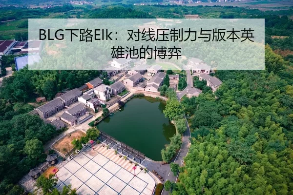 BLG下路Elk：对线压制力与版本英雄池的博弈