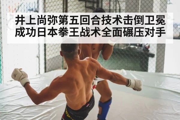 井上尚弥第五回合技术击倒卫冕成功日本拳王战术全面碾压对手