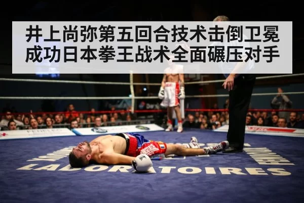 boxing knockout